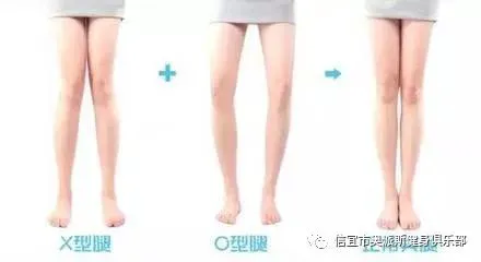 美式篮球训练计划_2